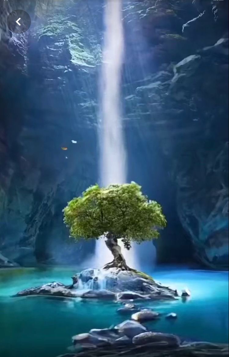 Ambasador Halina Kartowicz